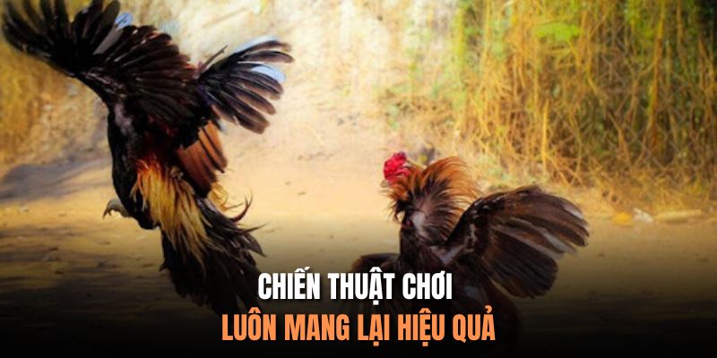 Chiến thuật chơi luôn mang lại hiệu quả