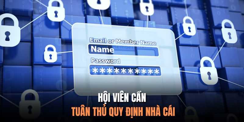 Hội viên cần tuân thủ quy định nhà cái