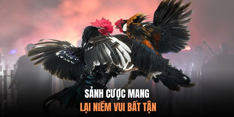 Sảnh cược mang lại niềm vui bất tận