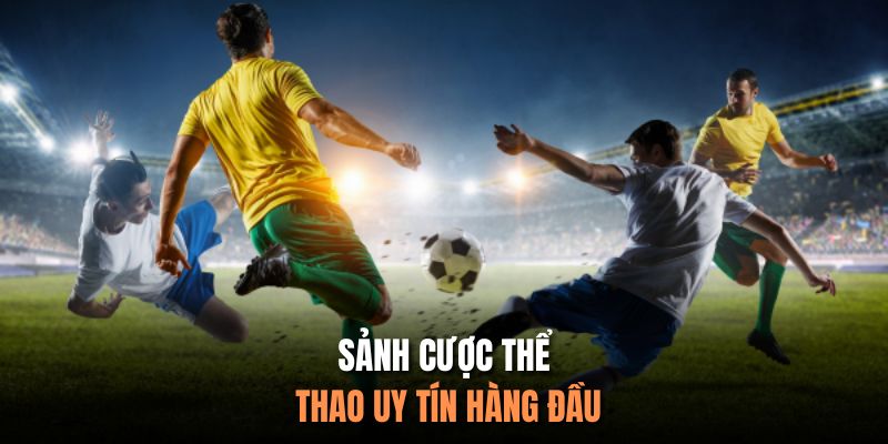 Sảnh cược thể thao uy tín hàng đầu